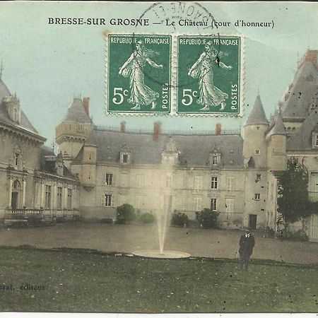 Chateau De Bresse Sur Grosne Bagian luar foto