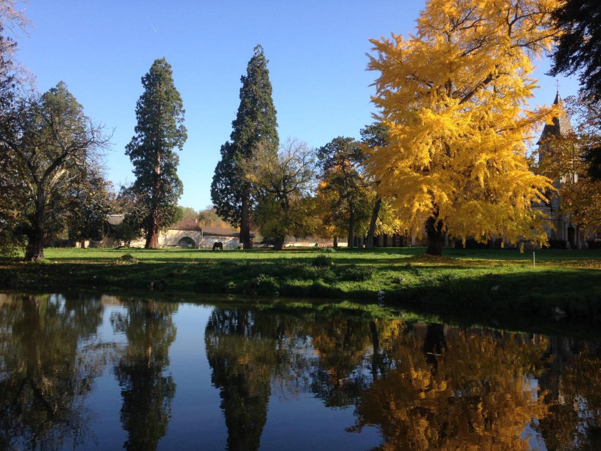 Chateau De Bresse Sur Grosne Bagian luar foto