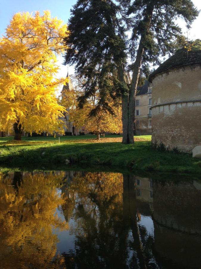 Chateau De Bresse Sur Grosne Bagian luar foto