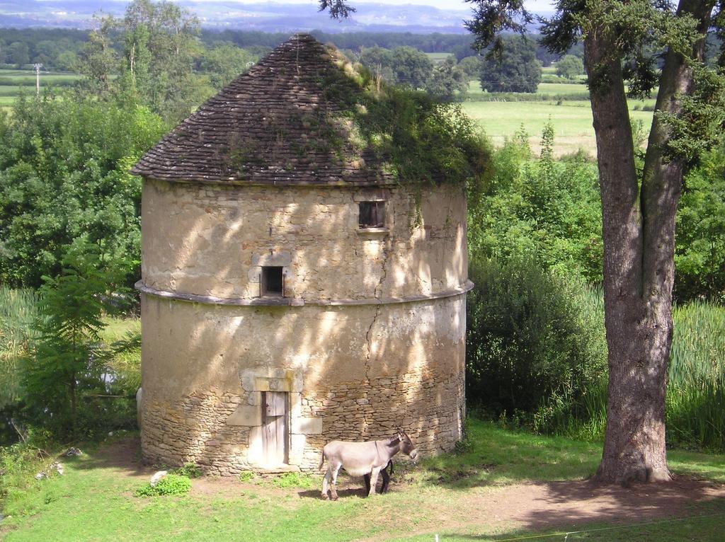 Chateau De Bresse Sur Grosne Bagian luar foto